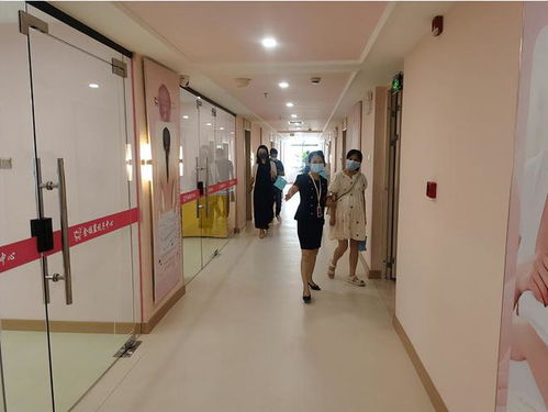 打破傳統，引領未來 標準化母嬰護理服務的變革之路